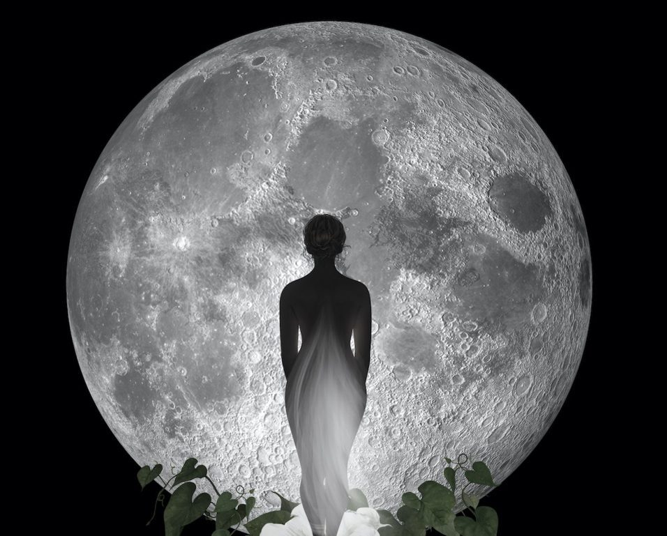 credit: Wylde Moon
